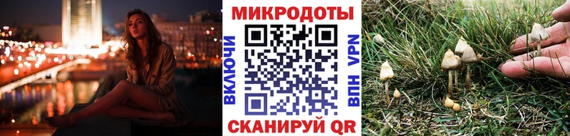 Купить где  Реж  Галлюциногенные грибы Psilocybine cubensis 